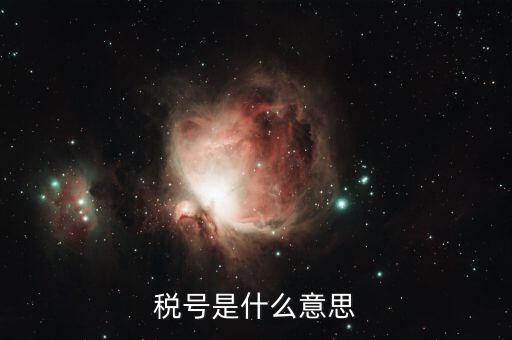納稅人稅號是什么，什么叫稅號
