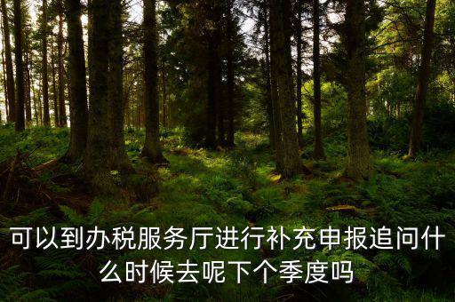 據(jù)實(shí)申報(bào)是按照什么申報(bào)，可以到辦稅服務(wù)廳進(jìn)行補(bǔ)充申報(bào)追問(wèn)什么時(shí)候去呢下個(gè)季度嗎