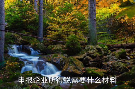 企業(yè)所得稅補申報需要什么，申報企業(yè)所得稅需要什么材料