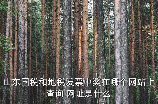 發(fā)票領(lǐng)用什么網(wǎng)站，誰(shuí)知道發(fā)票兌獎(jiǎng)上那個(gè)網(wǎng)站