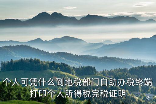 稅務(wù)局自助辦稅服務(wù)終端是什么，自助辦稅終端 報(bào)稅
