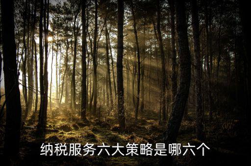 六大減稅措施是什么，針對(duì)個(gè)稅的減稅政策有哪些