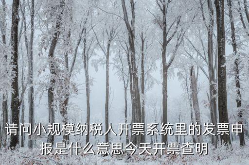 開(kāi)票申報(bào)是什么原因，納稅申報(bào)出現(xiàn)的問(wèn)題高手來(lái)解