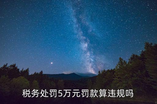 稅務(wù)重大違規(guī)是指什么，登錄國(guó)稅國(guó)稅的違章信息是什么意思