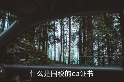 ca稅務(wù)數(shù)字證書是什么，什么是國稅的ca證書