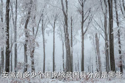 壽縣稅務(wù)局在什么地方，壽縣在什么地方