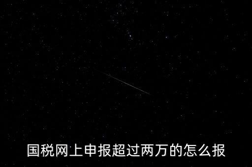 國稅網(wǎng)報入口是什么，怎樣才能進入小規(guī)模納稅人增值稅網(wǎng)上申報系統(tǒng)