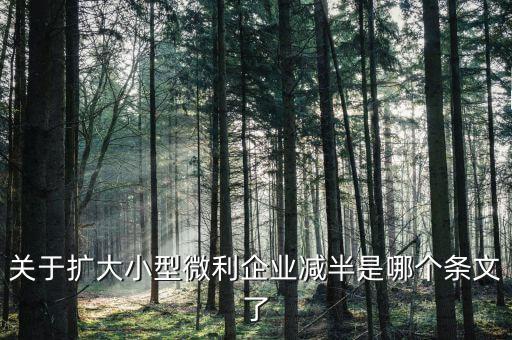 小型微利企業(yè)減半什么意思，遼寧小微企業(yè)所得稅減半征收是什么意思