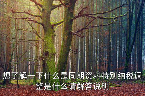 關(guān)聯(lián)申報同期資料是什么，想了解一下什么是同期資料特別納稅調(diào)整是什么請解答說明
