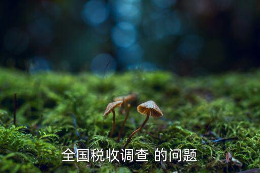 全國稅收調(diào)查是什么呢，全國稅收調(diào)查表說明