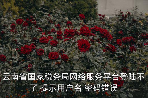 云南稅控服務平臺的網(wǎng)址是什么，云南國稅開票系統(tǒng)網(wǎng)址