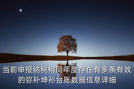 彌補(bǔ)虧損臺賬的維護(hù)是什么原因，您的彌補(bǔ)虧損臺賬數(shù)據(jù)存在問題怎樣聯(lián)系專管員