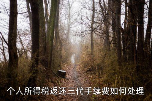 地稅局的退付三代手續(xù)費(fèi)是什么意思，三代手續(xù)費(fèi)返還該計(jì)入什么科目