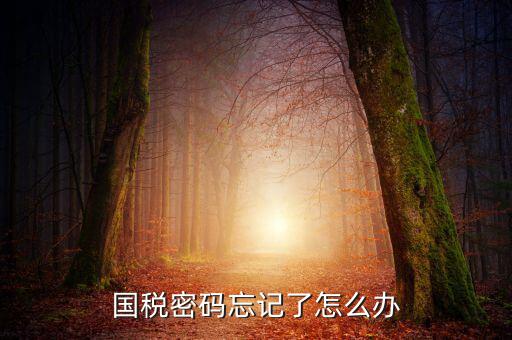 國稅局重置密碼需要帶什么資料，國稅修改過登錄密碼 又忘記了怎么辦