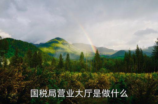 國稅局大廳工作是什么，國稅大廳咨詢?nèi)藛T具體是做什么工作的