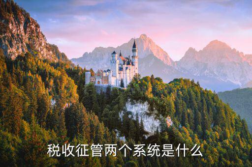 稅務什么叫核心征管系統(tǒng)，稅收征管兩個系統(tǒng)是什么