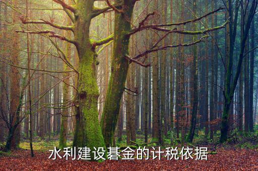 西安水利基金的計(jì)稅依據(jù)是什么，水利建設(shè)碁金的計(jì)稅依據(jù)