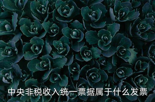 非稅發(fā)票是什么，中央非稅收入統(tǒng)一票據(jù)屬于什么發(fā)票