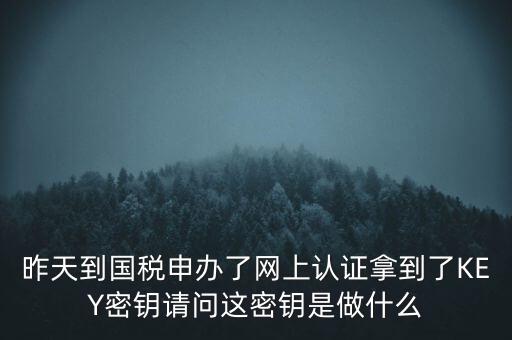 稅務(wù)認(rèn)證密碼是什么，昨天到國稅申辦了網(wǎng)上認(rèn)證拿到了KEY密鑰請問這密鑰是做什么