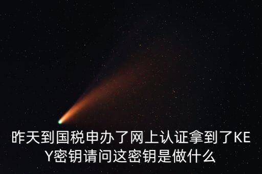 昨天到國(guó)稅申辦了網(wǎng)上認(rèn)證拿到了KEY密鑰請(qǐng)問這密鑰是做什么