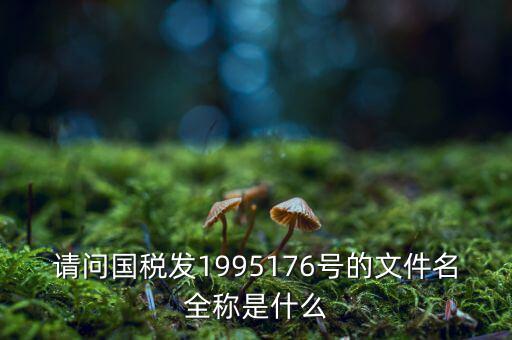 國稅初始化文件是什么字頭，稅務(wù)申報材料初始化是什么意思