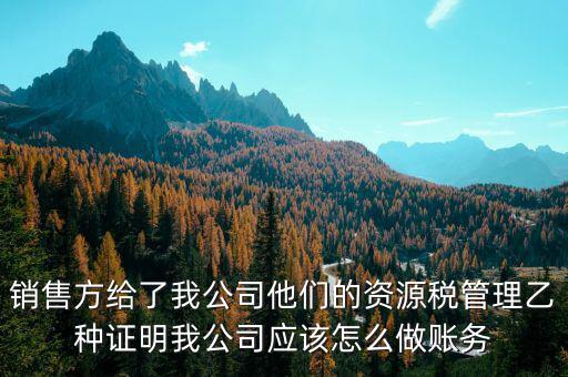 什么叫資源稅甲乙種證明，銷售方給了我公司他們的資源稅管理乙種證明我公司應(yīng)該怎么做賬務(wù)