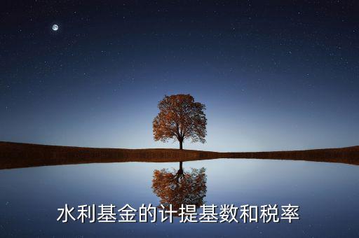 水利基金計(jì)算基數(shù)是什么意思，水利基金的計(jì)提基數(shù)和稅率