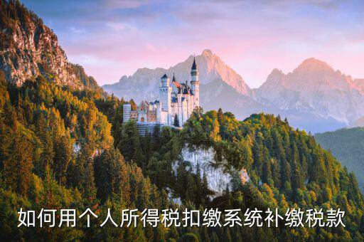 個人所得稅用什么系統(tǒng)，個人所得稅代扣代繳系統(tǒng) 支持Windows7 嗎