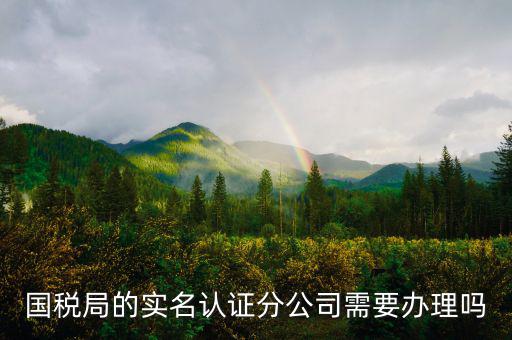 四川國(guó)稅局實(shí)名認(rèn)證需要什么手續(xù)，在國(guó)稅局辦理法人實(shí)名制認(rèn)證要帶什么材料
