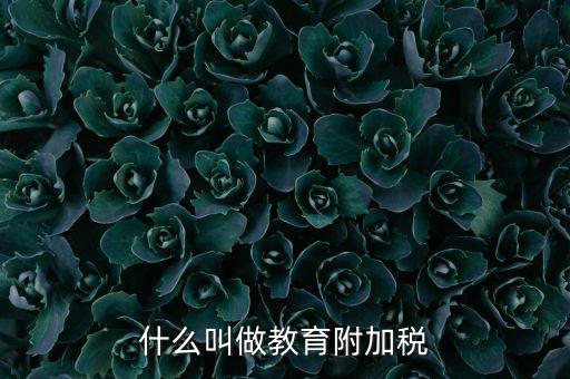 教育附加什么意思，教育費(fèi)附加代表什么意思