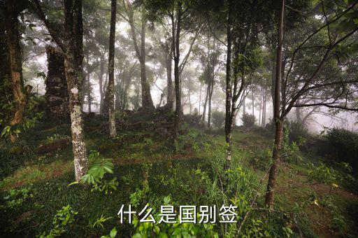什么是國別報送條件，國別是什么意思