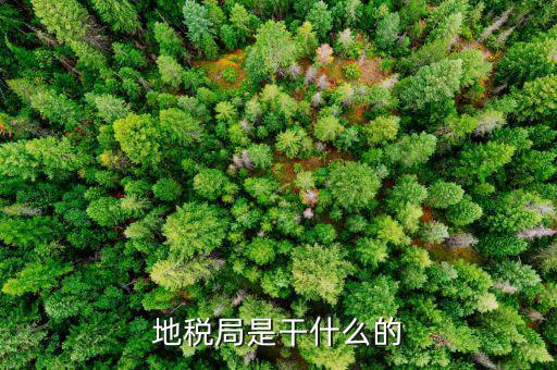地稅主要負(fù)責(zé)什么工作總結(jié)，地稅局一般做什么工作啊