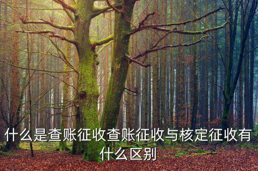 什么是查賬征收和核定征收，查賬征收與核定征收的區(qū)別是什么