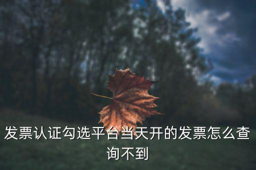 為什么網(wǎng)頁發(fā)票查詢不了，開了發(fā)票為什么在國稅官網(wǎng)上查詢不到