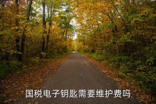 辦稅鑰匙是什么意思，網(wǎng)上報(bào)稅請(qǐng)插入電子令牌是什么意思