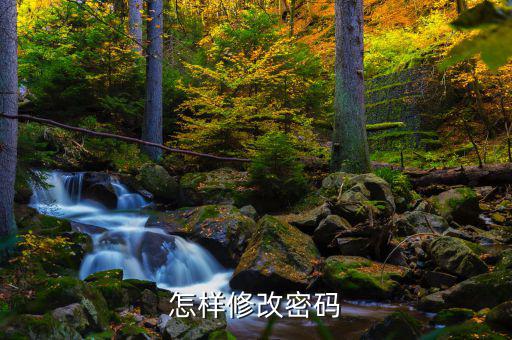 怎樣改國(guó)稅密碼是什么，山東省國(guó)家稅務(wù)局網(wǎng)上辦稅平臺(tái)納稅人的密碼怎么改