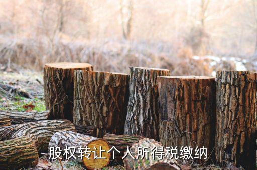 股權(quán)轉(zhuǎn)讓如何繳納個稅，個人股權(quán)轉(zhuǎn)讓如何納稅