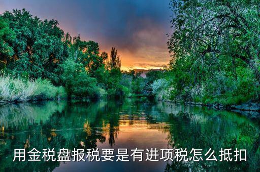 用金稅盤報稅要是有進(jìn)項稅怎么抵扣