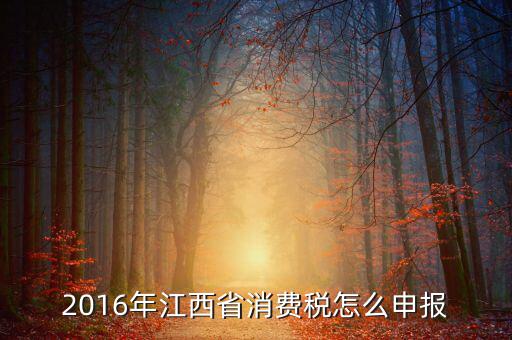 江西什么時(shí)候國(guó)地聯(lián)合辦稅，請(qǐng)問(wèn)國(guó)地稅什么時(shí)候合并