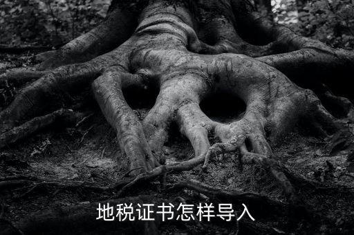 如何導入地稅證書，地稅證書怎樣導入