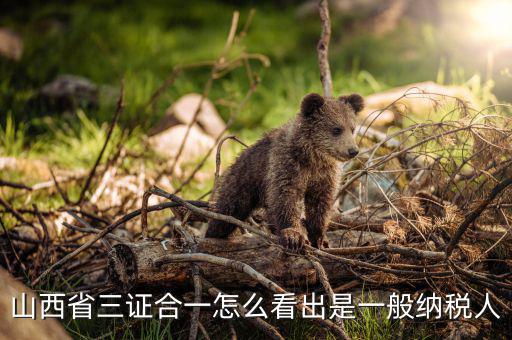 山西省如何查詢納稅人，為什么山西國稅發(fā)票無法查詢真?zhèn)?/></a></span><span id=
