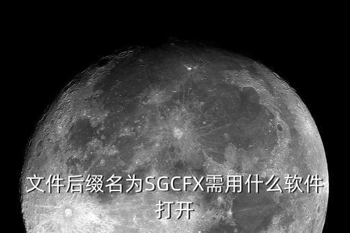 稅收調(diào)查用什么程序打開，文件后綴名為SGCFX需用什么軟件打開