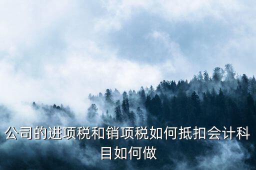 公司的進(jìn)項(xiàng)稅和銷項(xiàng)稅如何抵扣會計(jì)科目如何做