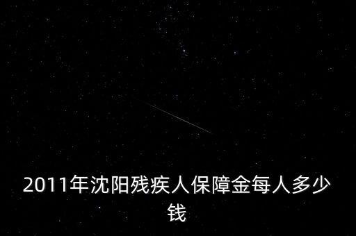 沈陽市殘疾人保障金如何計算，2011年沈陽殘疾人保障金每人多少錢