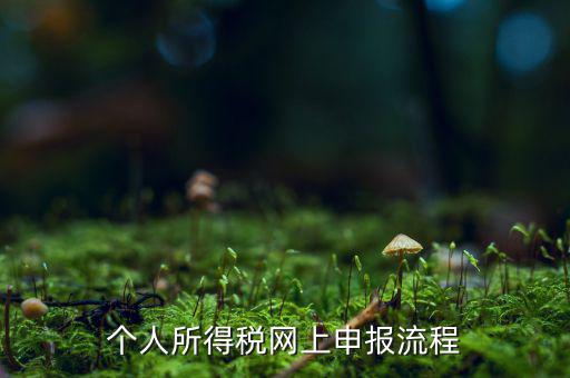 如何網(wǎng)上申請個稅，個人所得稅網(wǎng)上申報流程
