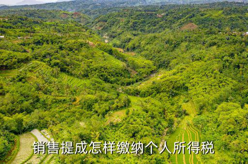 支付個(gè)人的銷售回扣如何征收個(gè)稅，付別人回扣5791462元 如何扣取個(gè)人所得稅請(qǐng)老師詳解在此感
