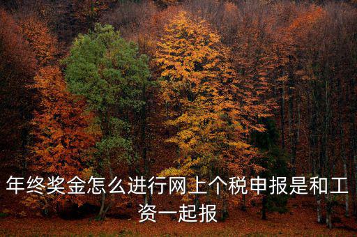 年終獎(jiǎng)個(gè)稅如何申報(bào)，年終獎(jiǎng)怎樣申報(bào)個(gè)稅