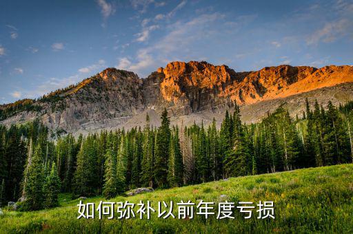 如何彌補以前年度虧損，如何彌補以前年度虧損