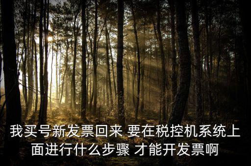 稅控系統(tǒng)如何開票，我買號新發(fā)票回來 要在稅控機系統(tǒng)上面進行什么步驟 才能開發(fā)票啊