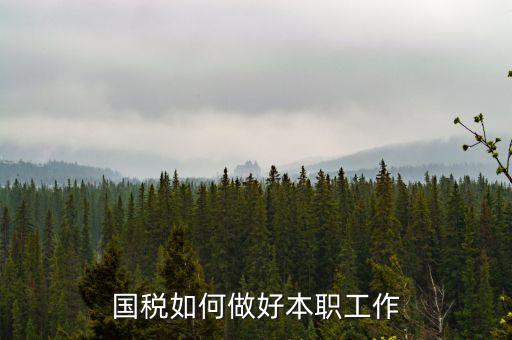 如何做好基層國稅工作，如何做好新形勢下的國稅工作